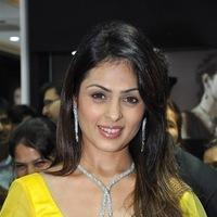 Anjana Sukhani Inaugurates Jewelry Store - Pictures | Picture 105552